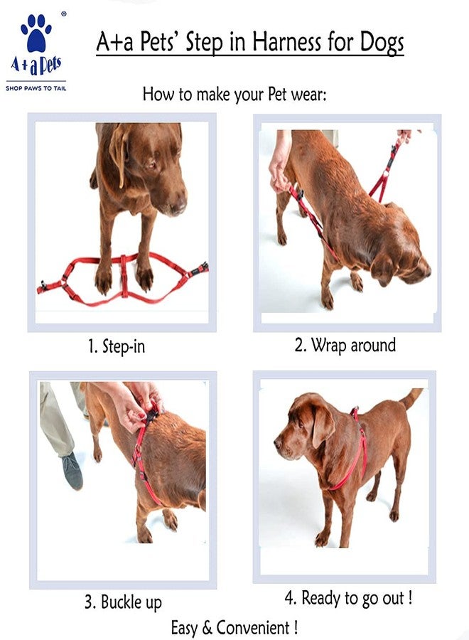 A+a Pets حزام صدرية بألوان قوس قزح من A+a Pets للكلاب والقطط والجراء (مقاس متوسط) - Image 5